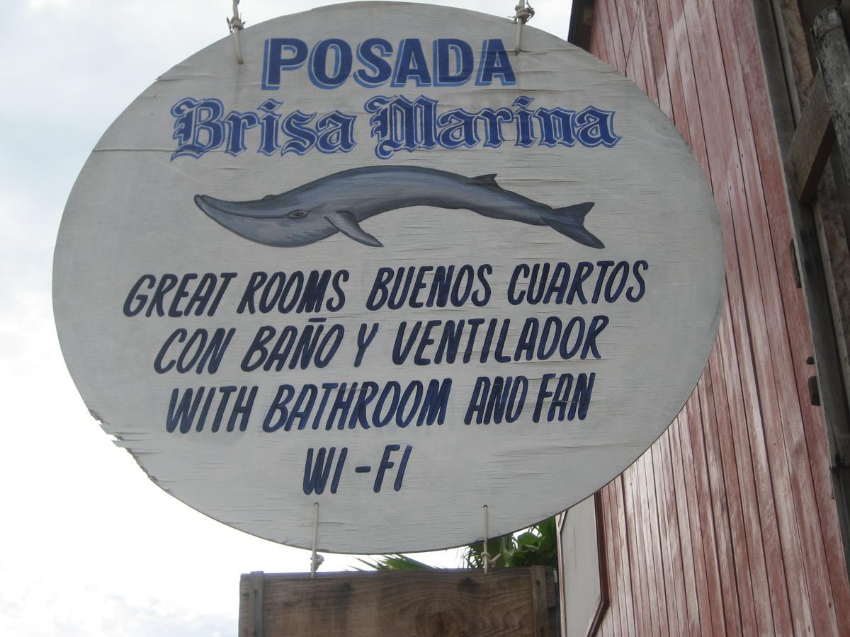 Hostel Posada Brisa Marina Zipolite Zewnętrze zdjęcie